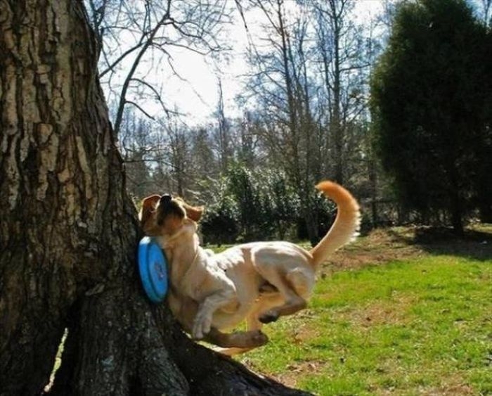 perfectphotos135_035