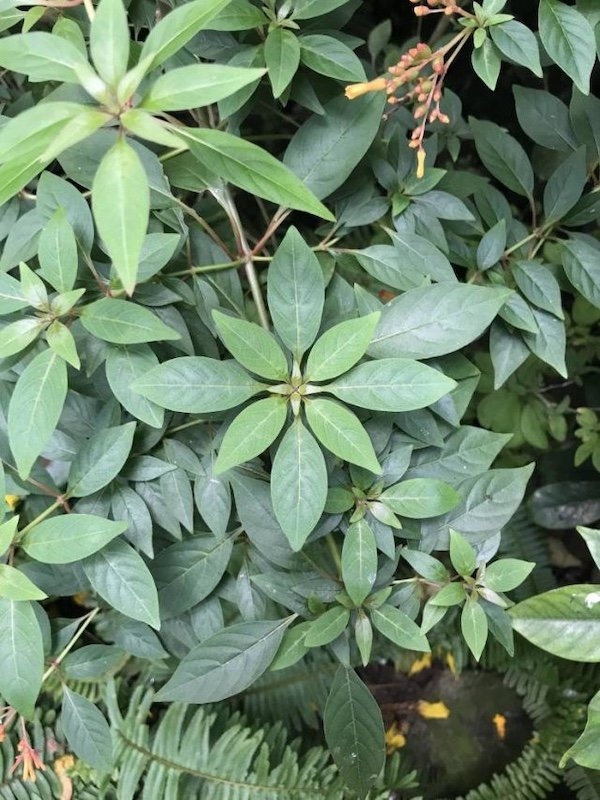 perfectphotos139_007