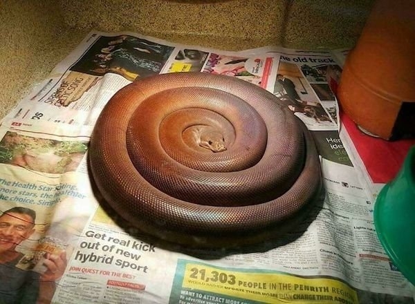 perfectphotos139_008