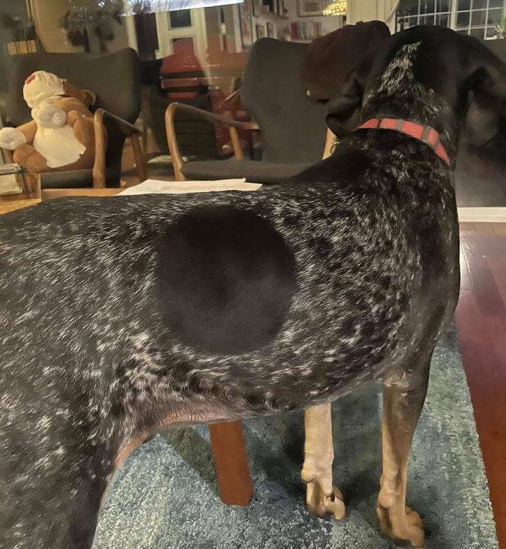 perfectphotos141_003