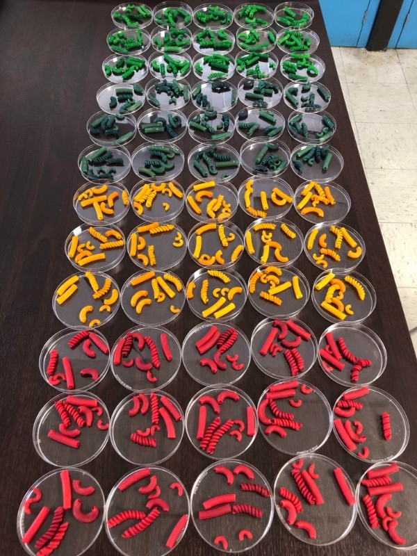 perfectphotos141_013