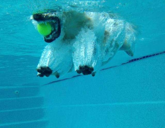 perfectphotos141_024