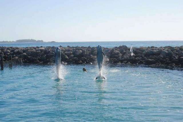 perfectphotos141_029