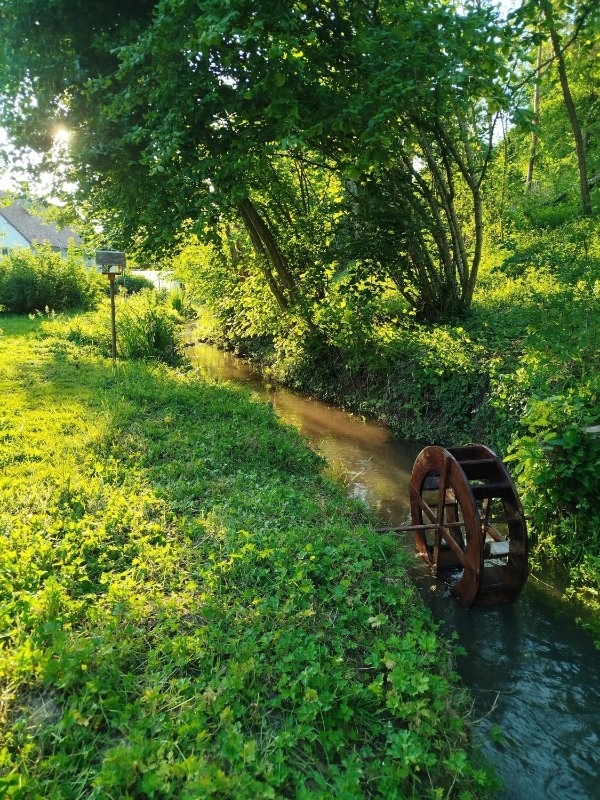 randompics1702_021