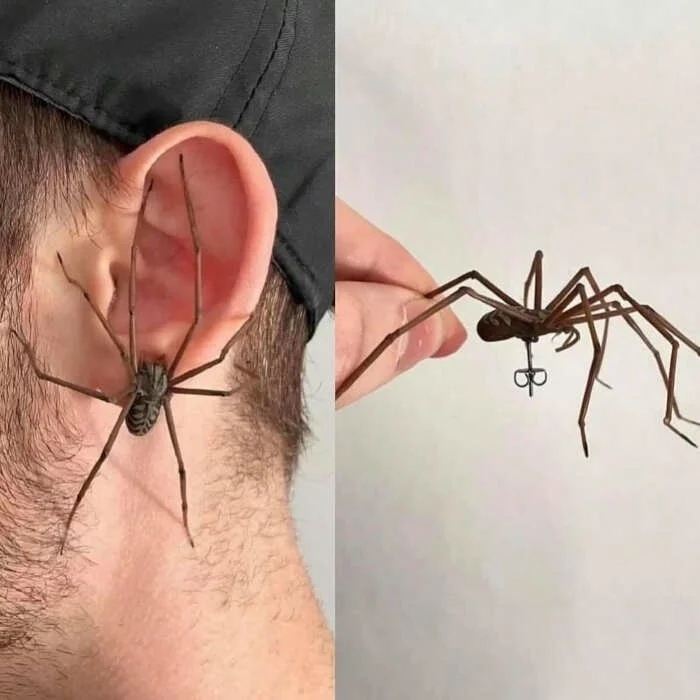 strangedesigns52_029