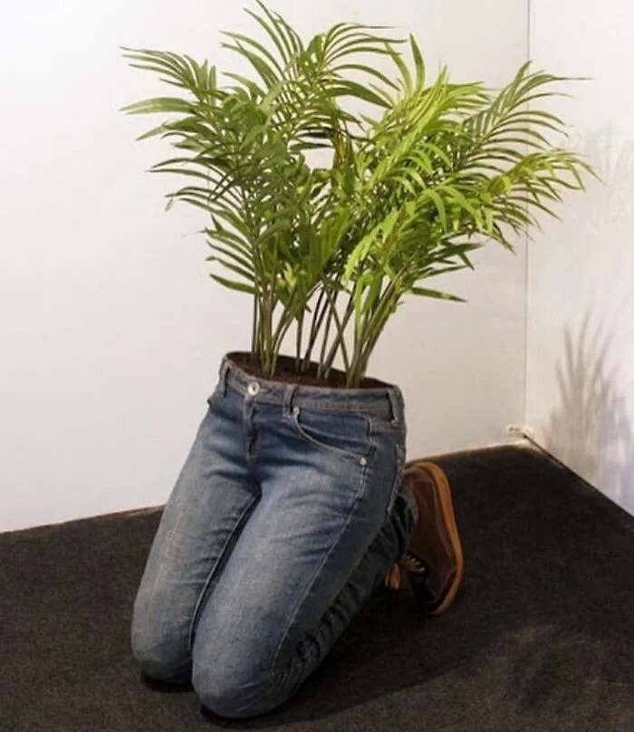 strangedesigns52_041