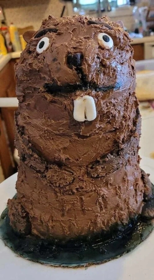 cakefails2_012