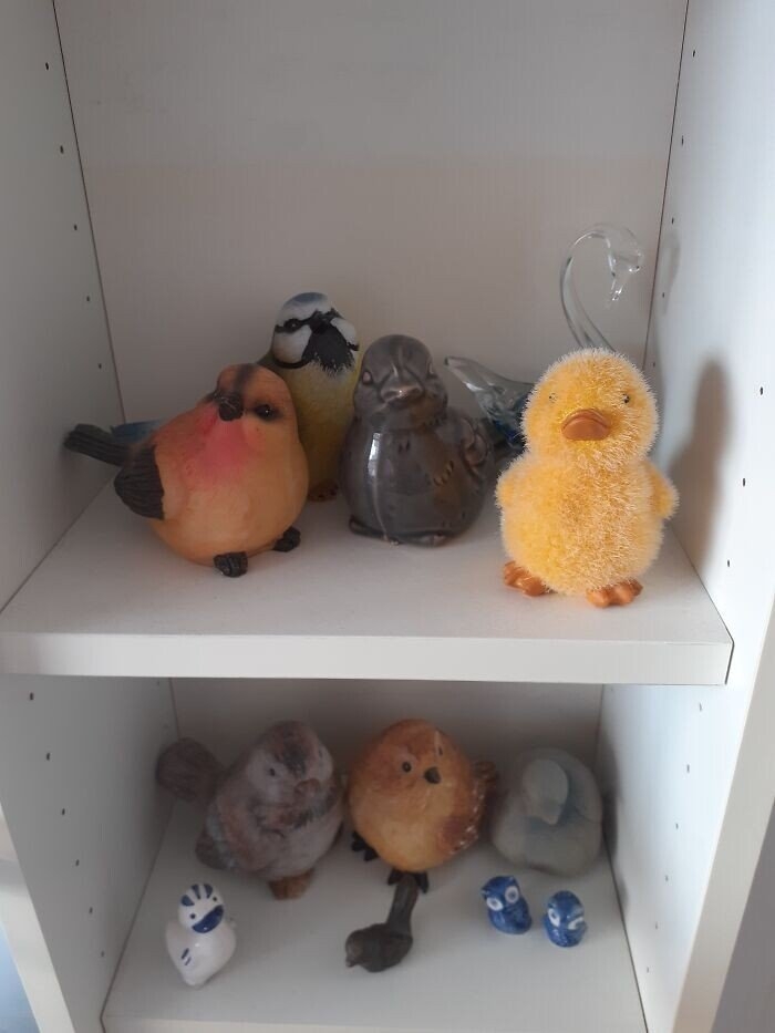 coolcollections2_016