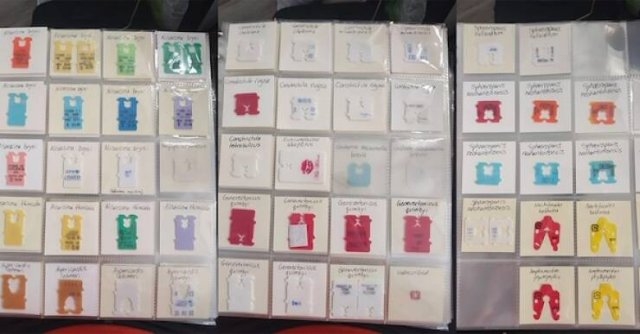 coolcollections2_031