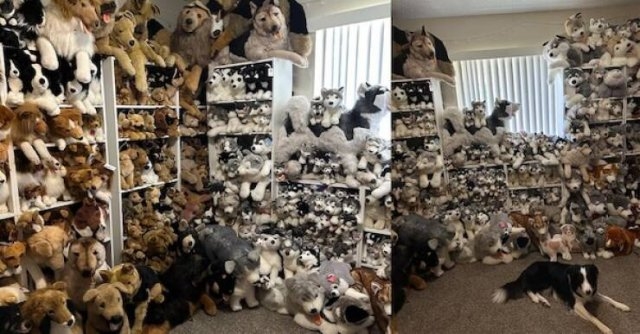 coolcollections2_035