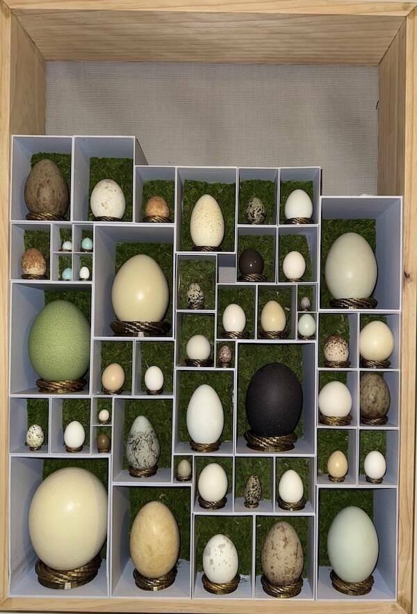 coolcollections2_039