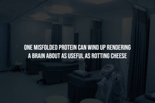 interestingfacts277_003