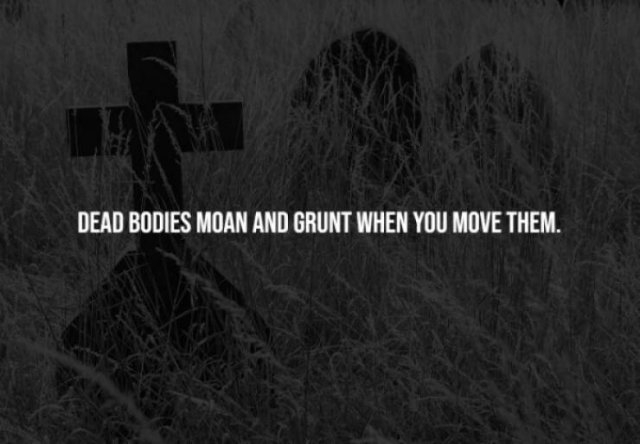 interestingfacts277_009