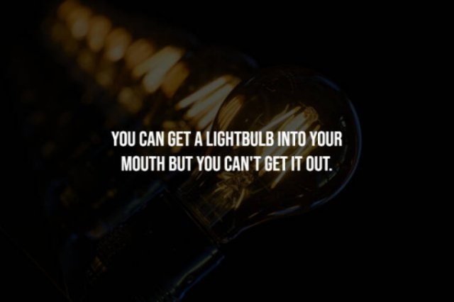 interestingfacts277_011