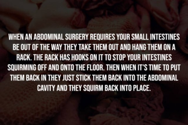 interestingfacts277_014