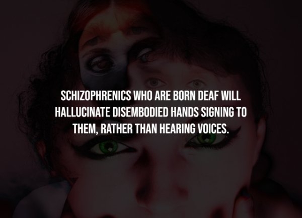 interestingfacts278_008