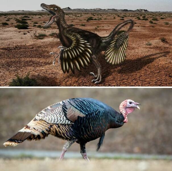 interestingfacts279_003