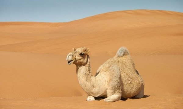 interestingfacts280_003 interestingfacts280_003