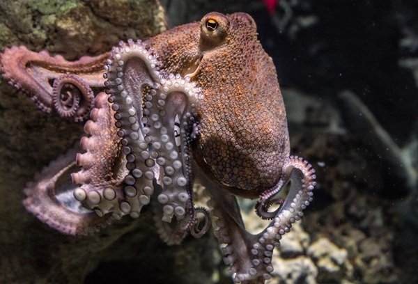 interestingfacts280_005 interestingfacts280_005