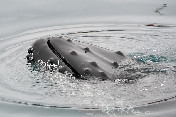 interestingfacts280_008 interestingfacts280_008