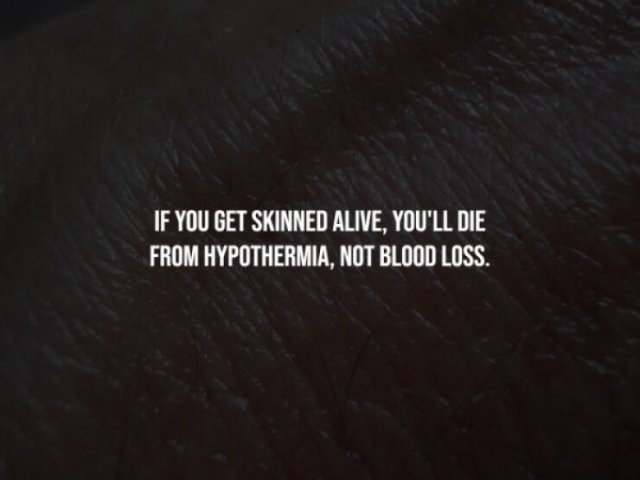 interestingfacts281_002