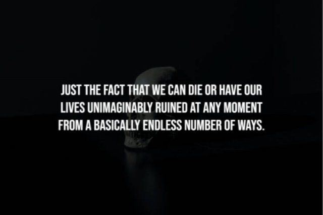 interestingfacts281_003