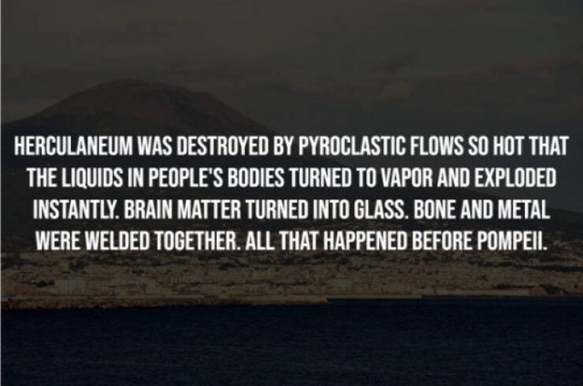 interestingfacts281_006