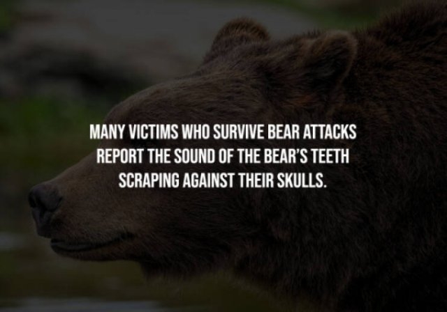 interestingfacts281_009