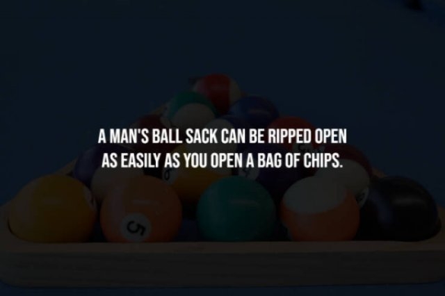 interestingfacts281_012