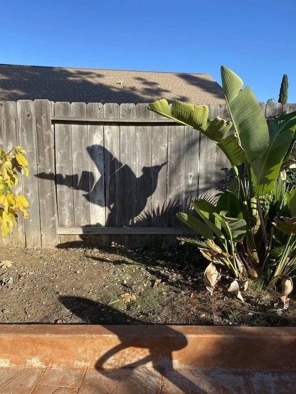 opticalillusions11_006