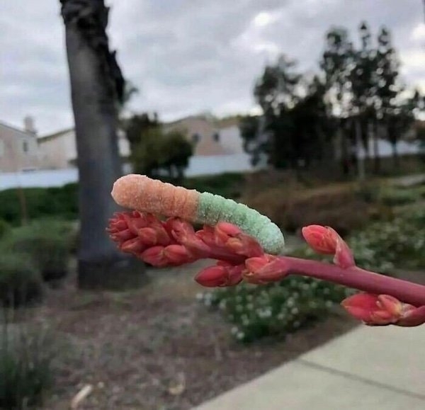 opticalillusions11_009