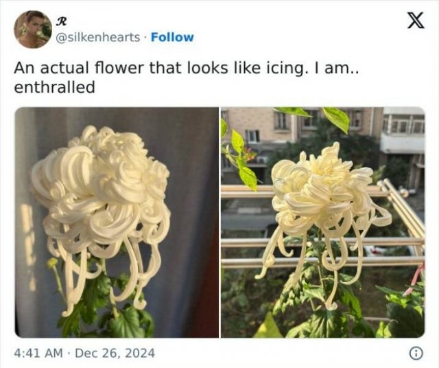 opticalillusions11_026