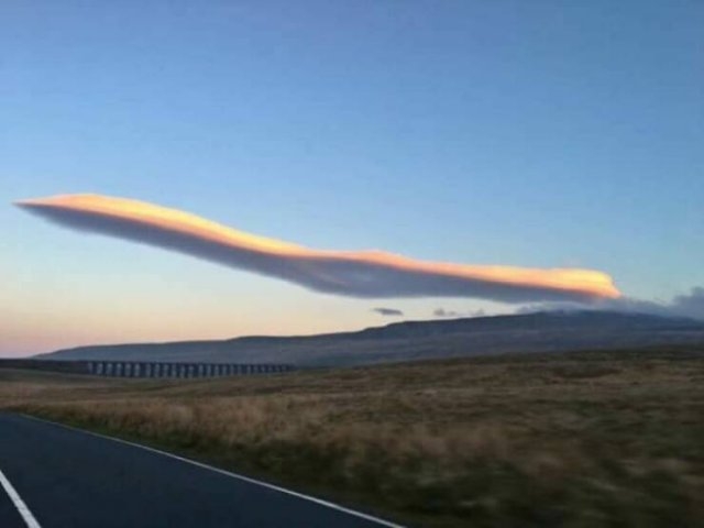 opticalillusions11_031