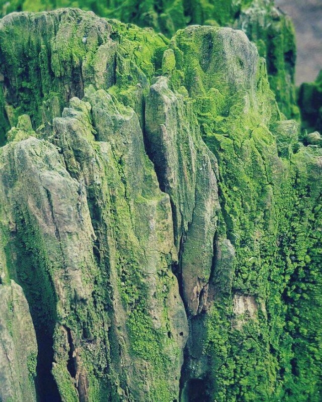 opticalillusions11_036