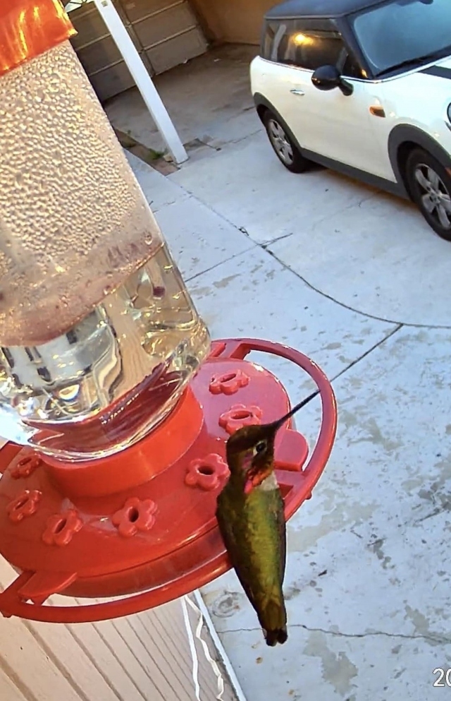 opticalillusions12_004