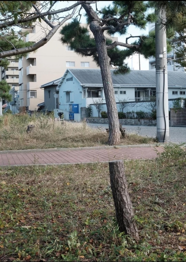 opticalillusions12_005