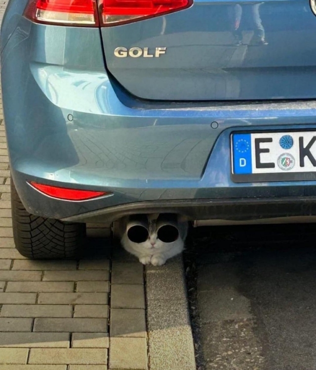 opticalillusions12_006