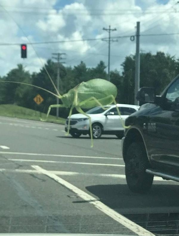 opticalillusions12_021