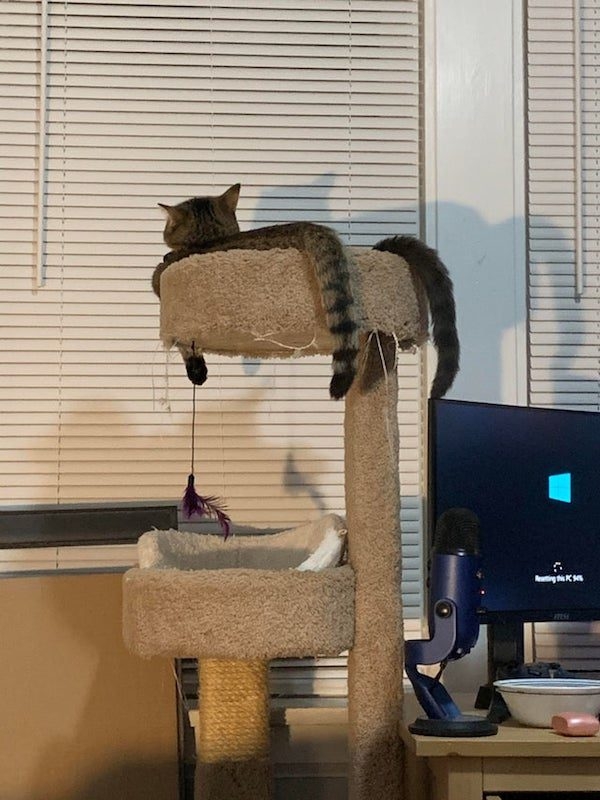 opticalillusions12_037