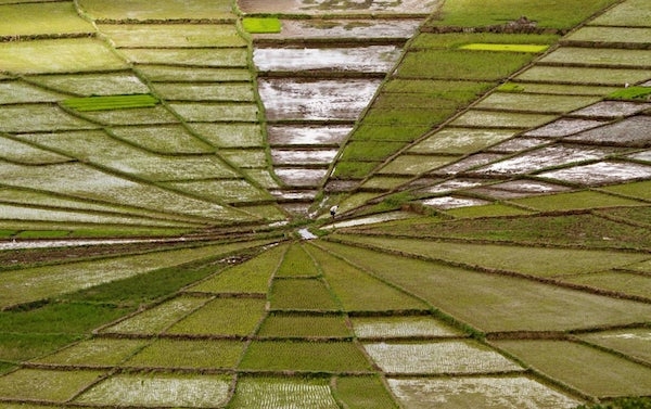 opticalillusions12_038