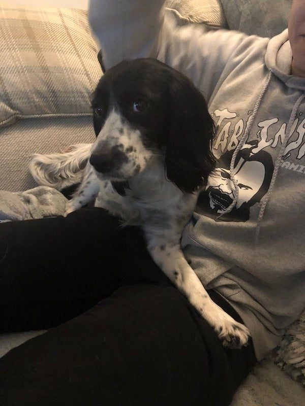 opticalillusions12_039