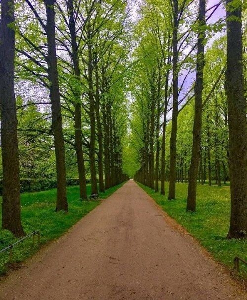 perfectphotos143_003