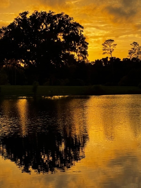 perfectphotos144_004