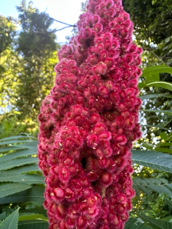 perfectphotos144_013