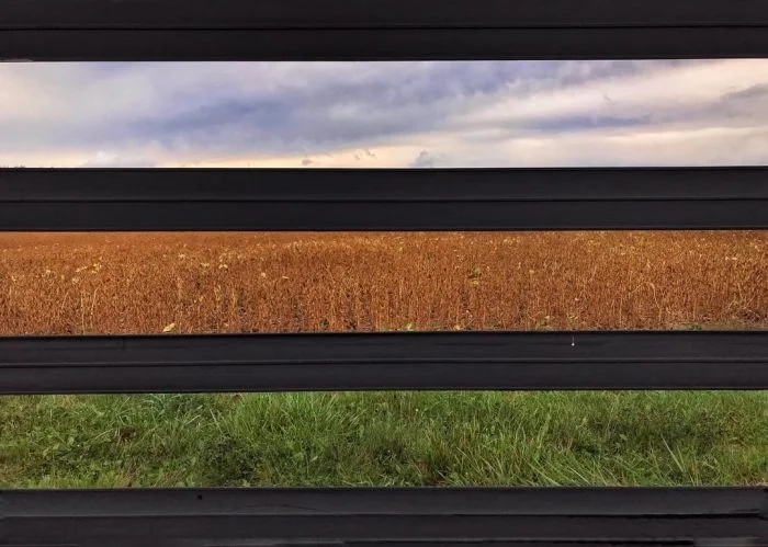 perfectphotos145_017