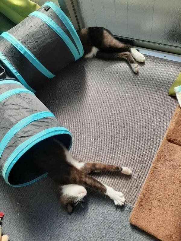 perfectphotos145_022