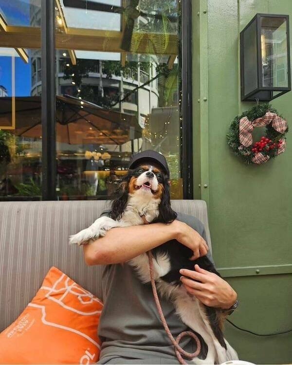 perfectphotos145_029