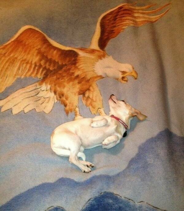 perfectphotos145_036