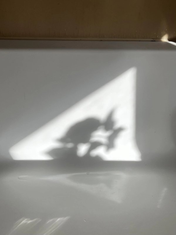 randompics1728_064