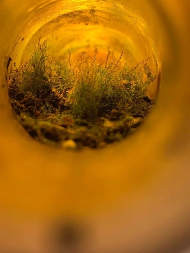 randompics1732_052